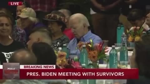 Survivors in Hawaii & Biden is Asleep.