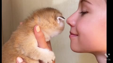 Kid kissing and holding the kitten