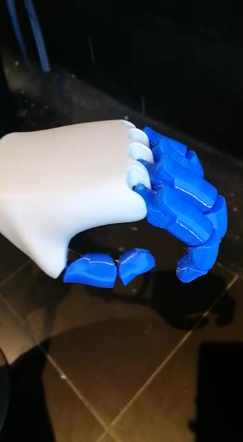 Prosthetic Hand