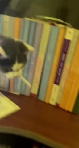 That’s how the bad habit always starts