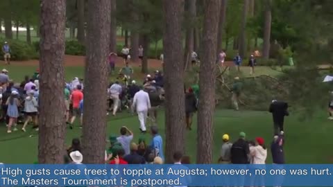 A tree falls at The Masters.