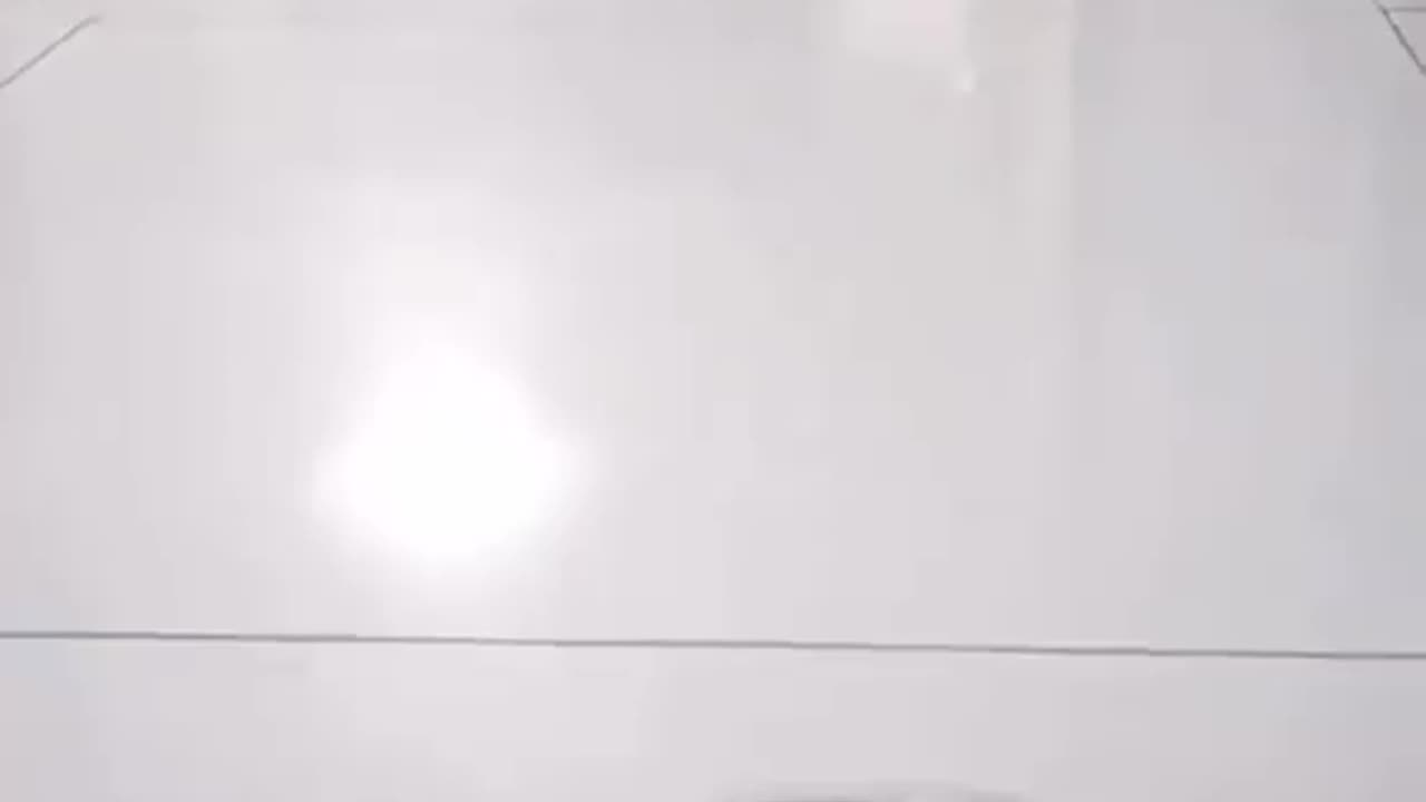 Cats fighting
