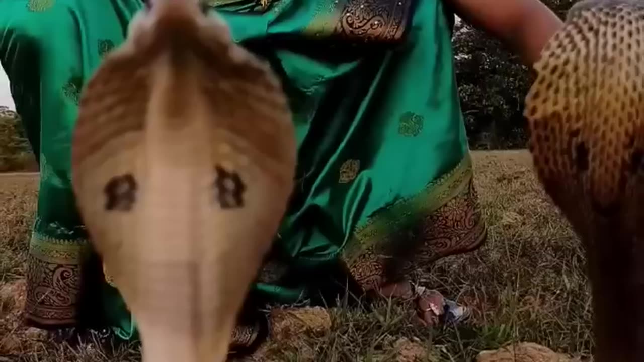 Big Snek girl swolly hend cute videos