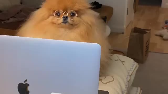 It's friday again, it's saturday, sunday, WHAT?