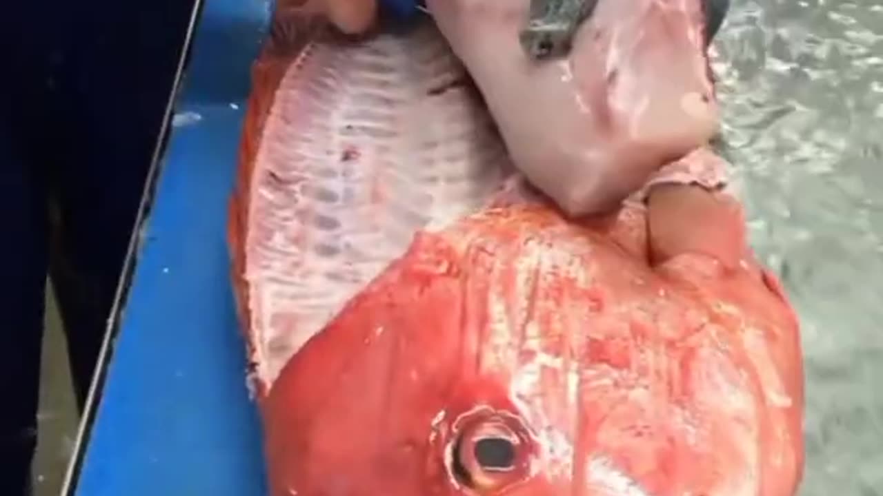 Amazing fish cutting