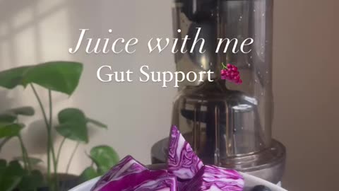 Gut support juice