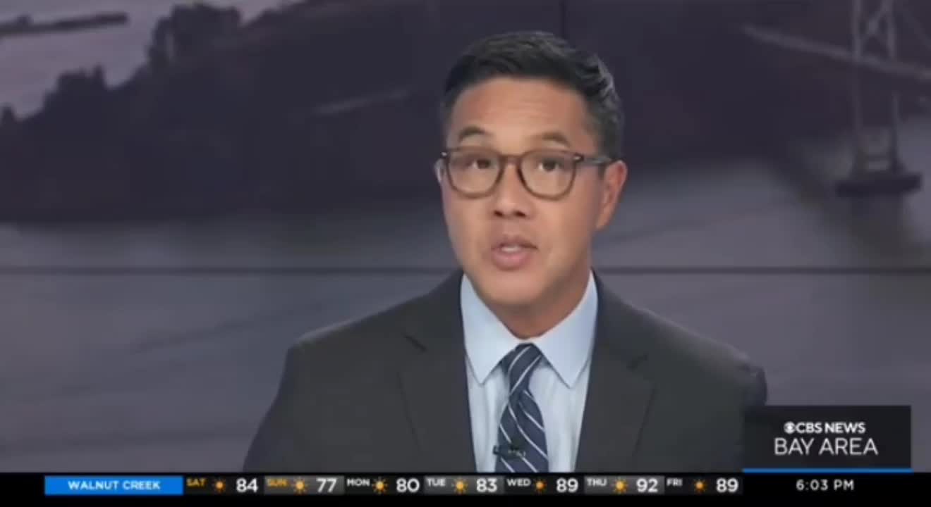 1786. CALIFORNIA 🚨Democrats Destruction Playground