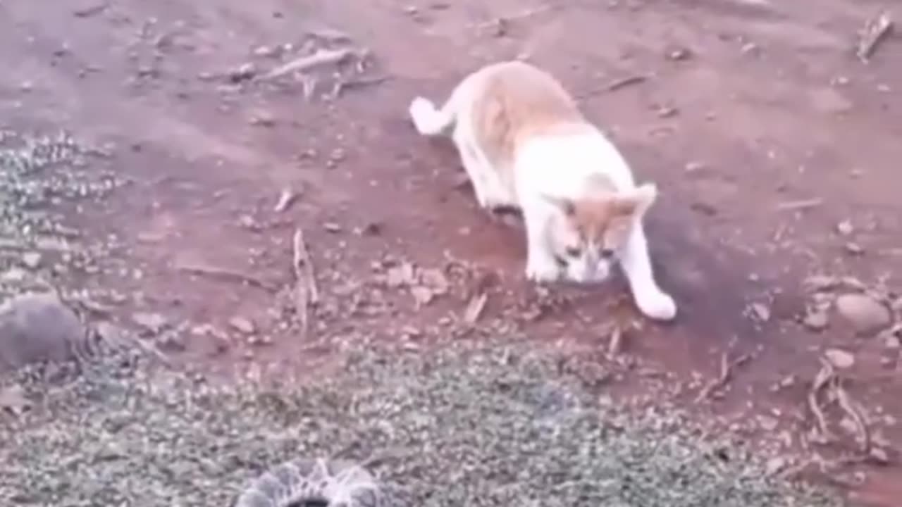 ##*Funny #video🤣🤣🤣📽️📽️📽️💯💯