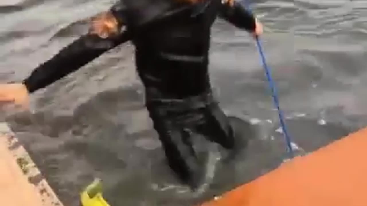 funny video