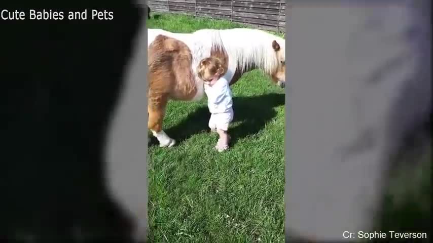 Funny baby playing with animals