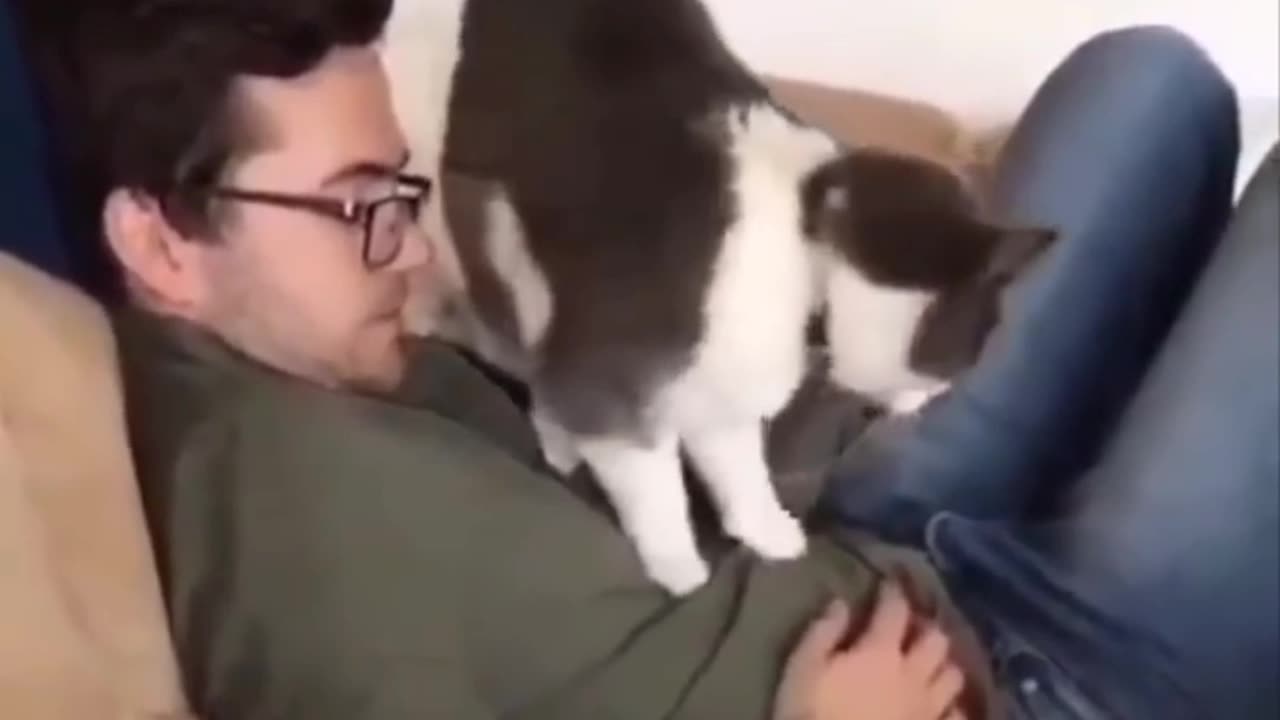 Funny cat video caught on camera 📸😂😂