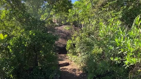 8/19 - Explorando a Trilha do Morro do Macaco em Bombinhas: Uma Experiência Imersiva! #bombinhas