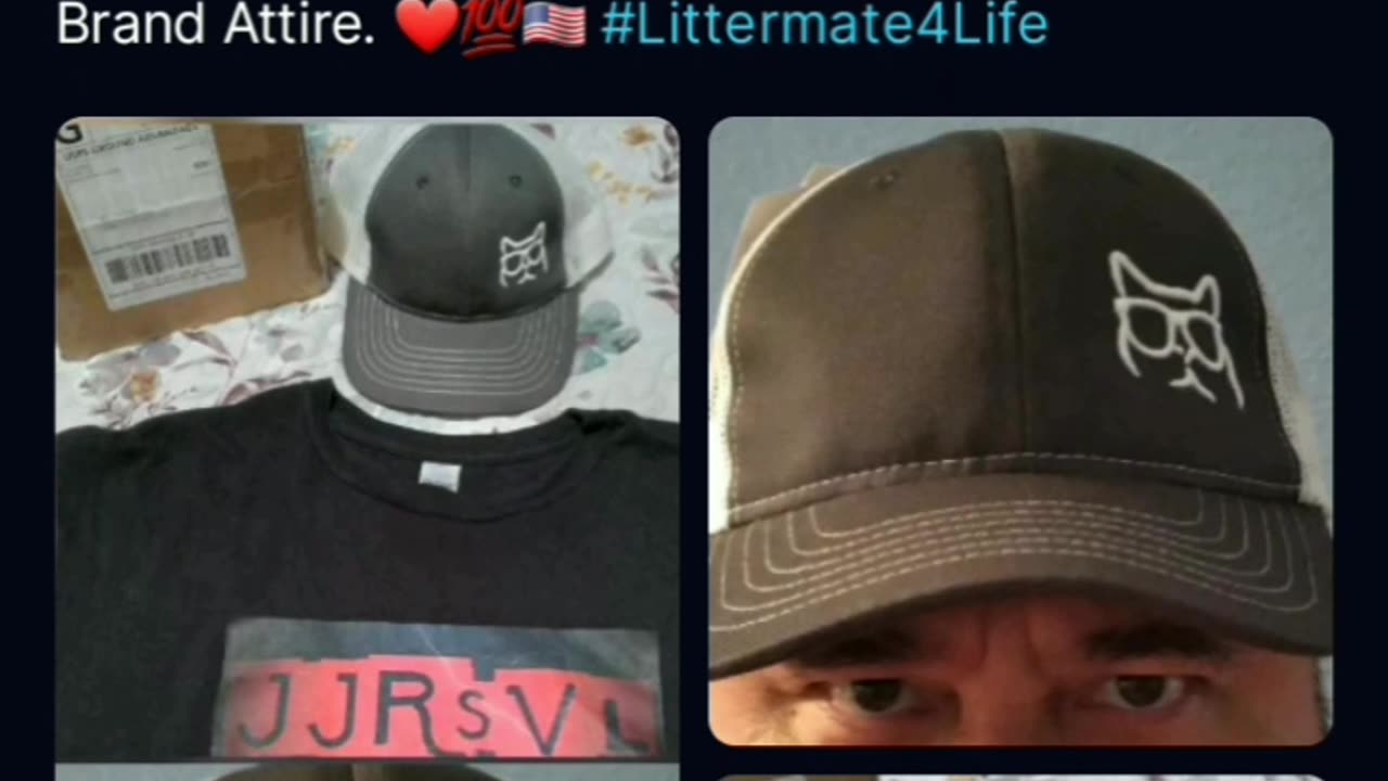 A JJRsvl Short: Catturd Fan's Gotta Do What A Catturd Fan's Gotta Do!!