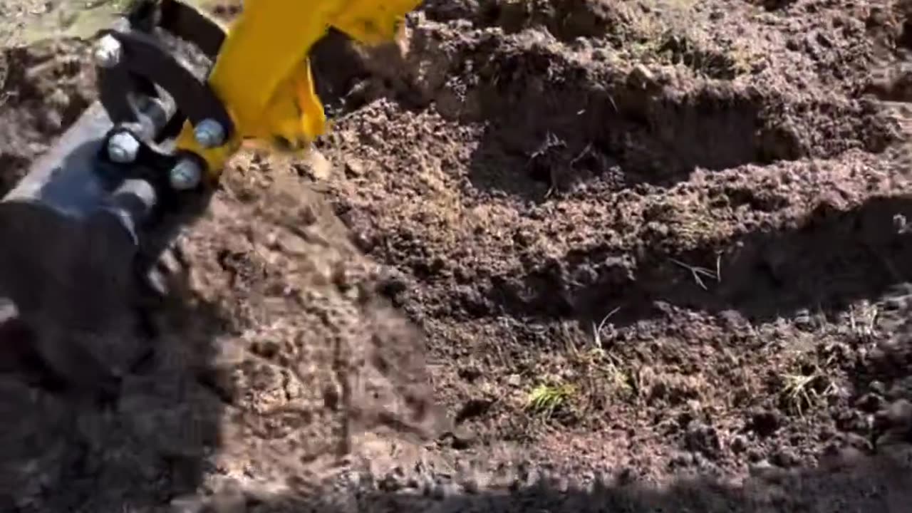 CRC vídeos curiosos