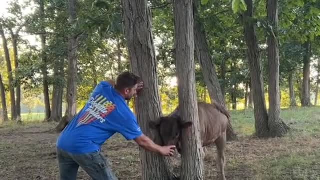 Well… Just another evening on the farm 😂