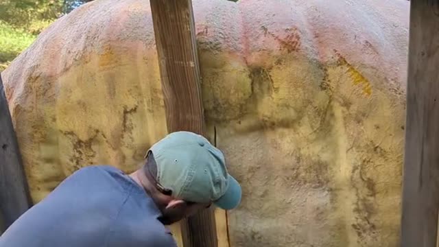 Cutting OpenBear Swipe