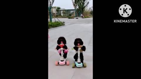 ♥️🐕Smart Dog Video 2021 _|18|_ #short