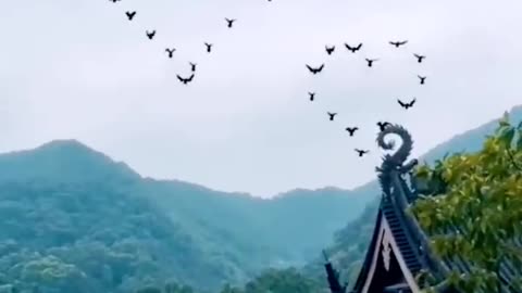 Beautiful scenary