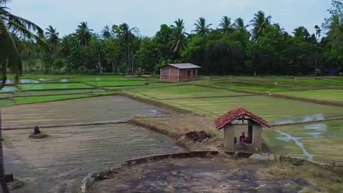 "The Village, A World of Its Own 😍 | Polonnaruwa’s Divine Charm ☘️