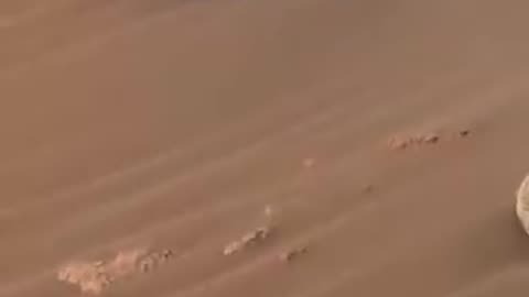 Secrets of Mars Episode 80