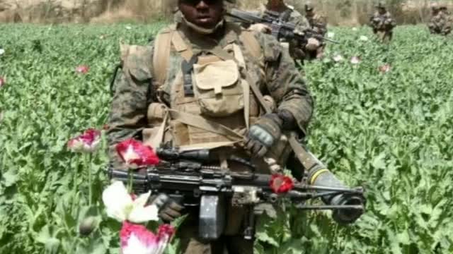 The Military
