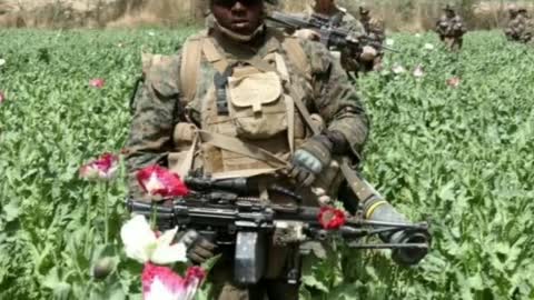 The Military