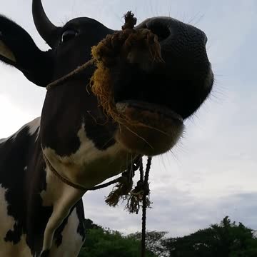 It's good that it didn't hit us ...