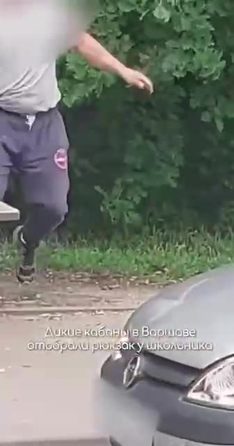 Wild boars in Poland tried to steal a kid’s backpack