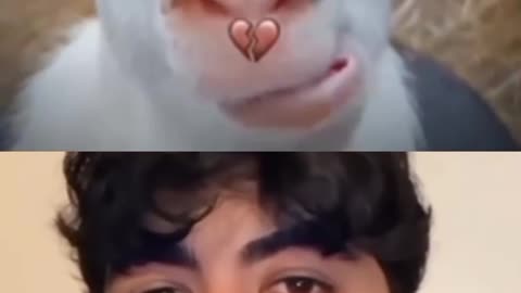 🗿 💔