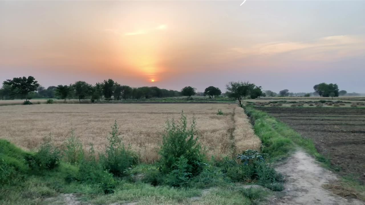Beautiful view of my village road