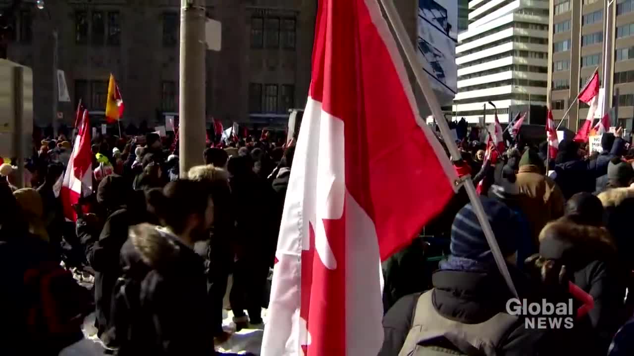 Trucker protests: Parts of Toronto see large crowds for anti-mandate demonstrations