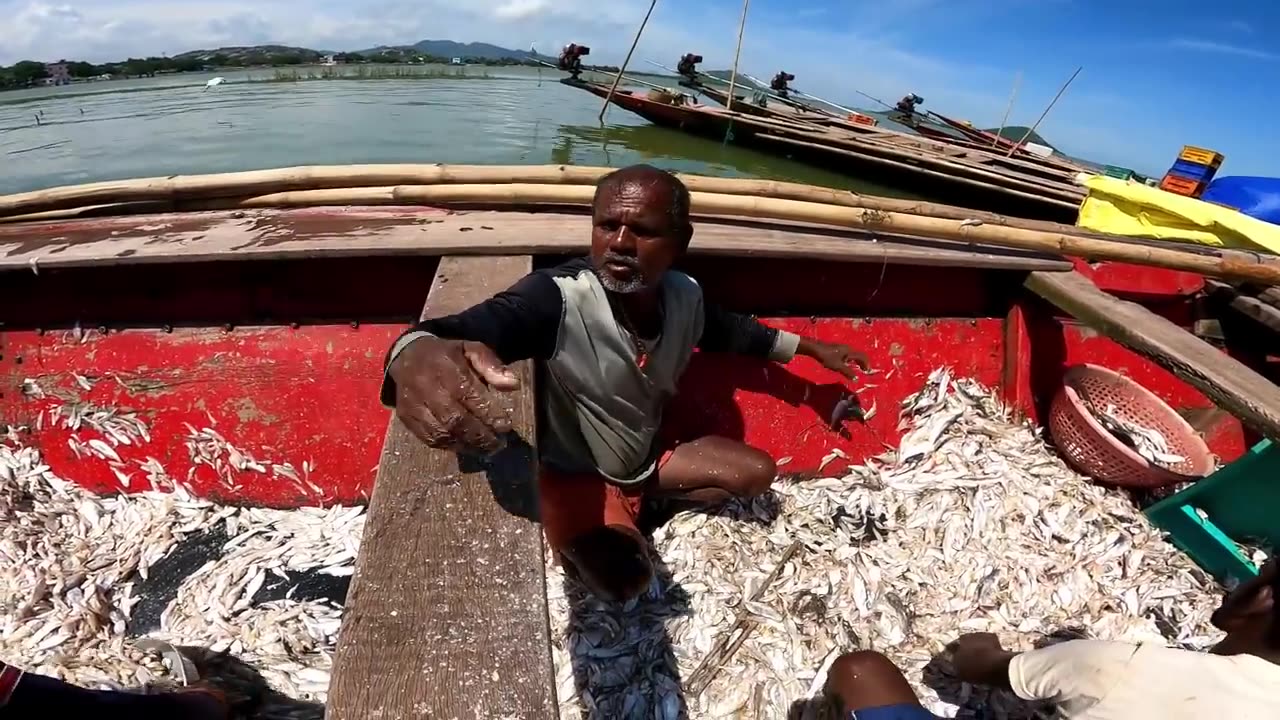 odisha fishing