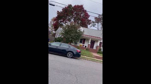 Absolute Lunatic Liberal Harasses Republican Poll Watcher In Arlington