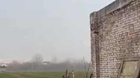 Dog jump