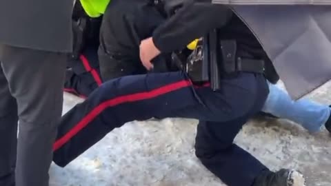 Police in Fredericton New Brunswick manhandle a Freedom protestor with force