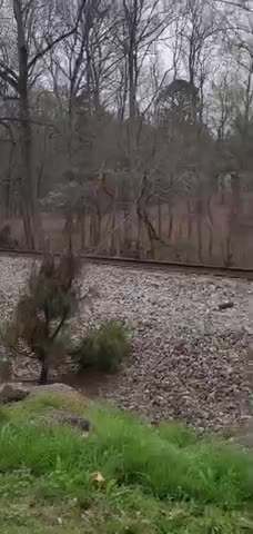 Another train derailed in Alabama this time | Check Description