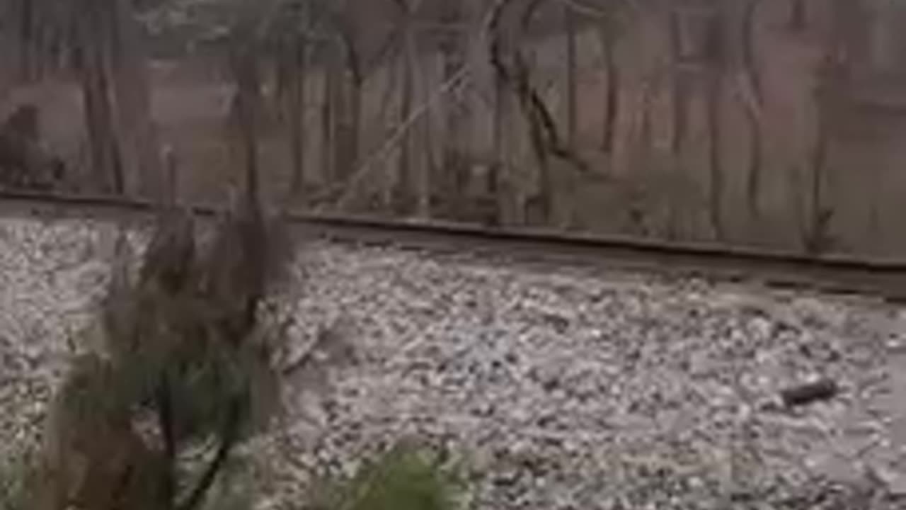Another train derailed in Alabama this time | Check Description