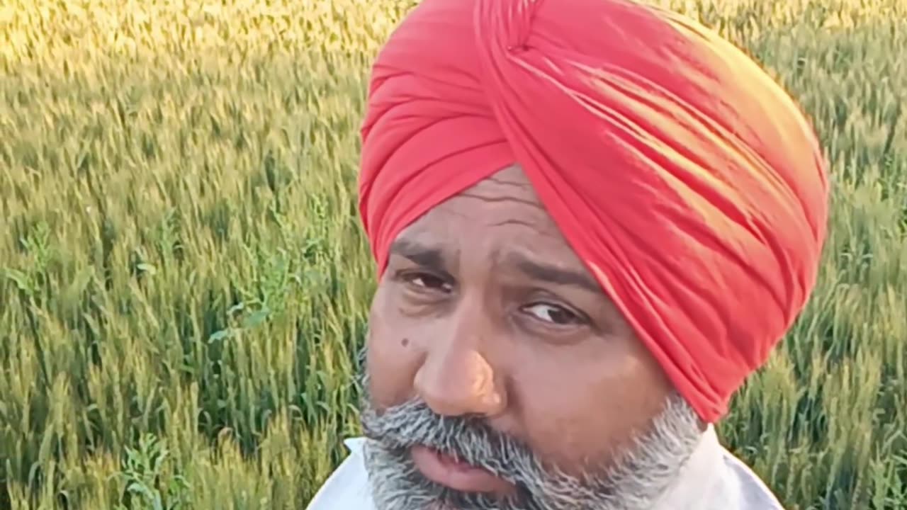 Awaaz hamari