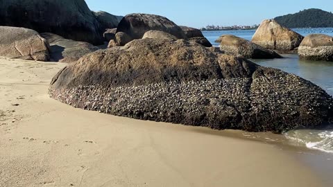3/19 - Praia do Fayet: O destino perfeito para relaxar em Governador Celso Ramos