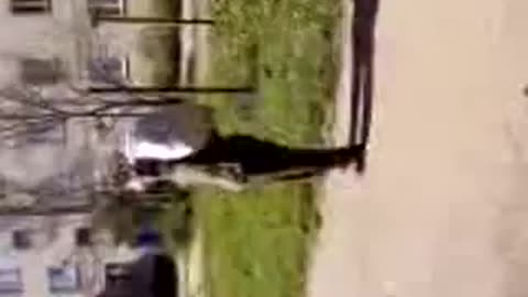 The third day on the road