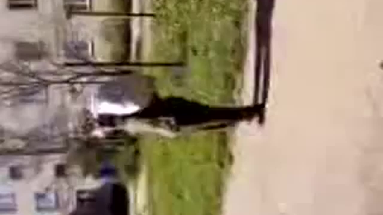 The third day on the road