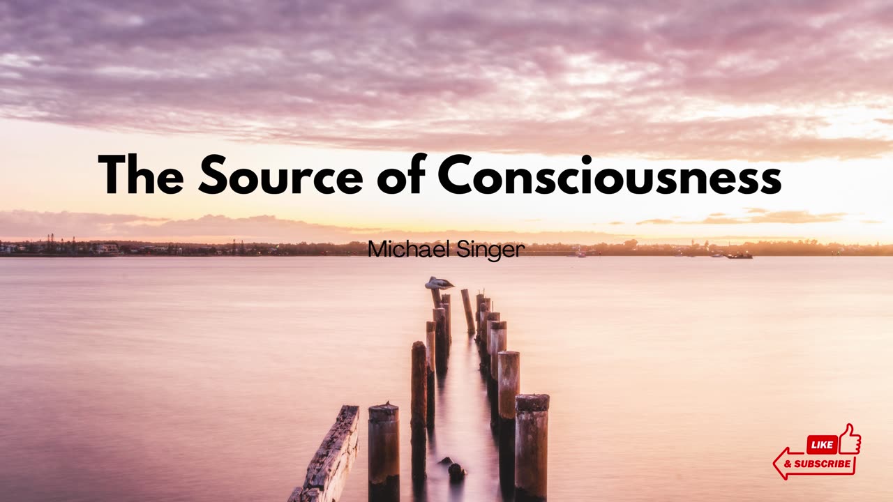 Michael Singer - The Source of Consciousness