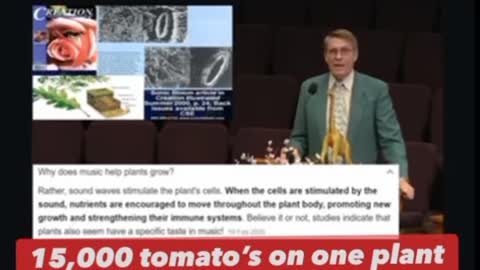 15,000 tomato's on one plant!