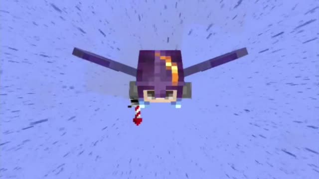 I BET YOU DIDNT KNOW THIS ABOUT ELYTRA! 😱