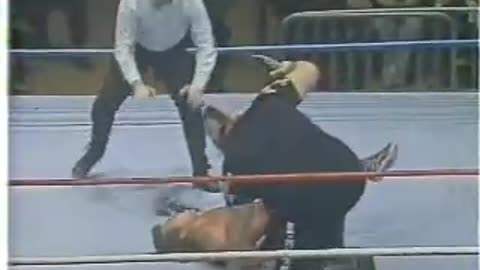 Brutus beefcake vs. one man gang