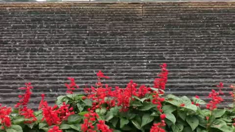 A man-made garden waterfall