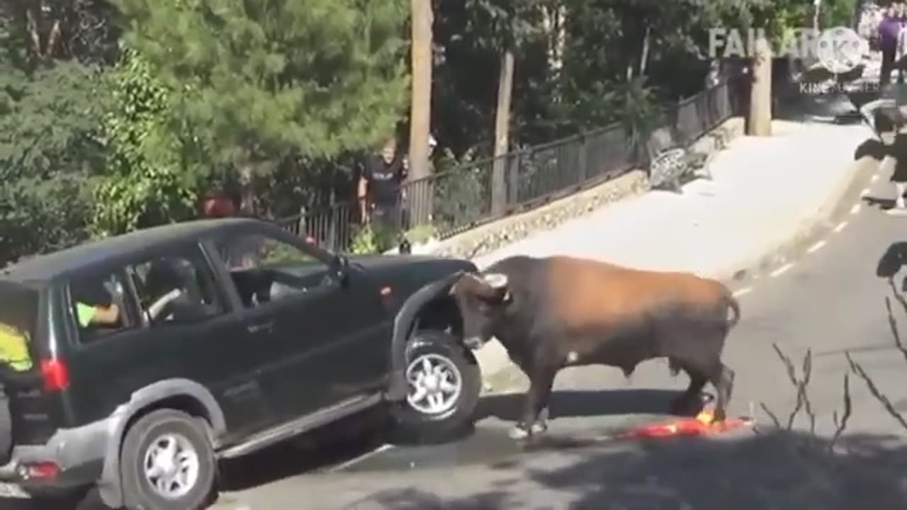 EPIC FAIL! You Won't Believe What This Adorable Creature Just Did!