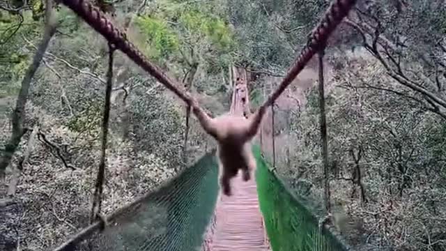 This was a crazy moment caughtoncamera