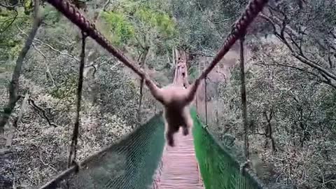 This was a crazy moment caughtoncamera