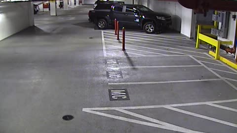 6120RHOBG2G204ALobby4Entrance_2021-01-06_22h00min03s390ms.mp4